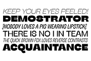 Stinger - 42 fonts, a Sans Serif Font by Zetafonts (Thumbnail 10 of 15)