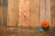 Rustic Flower Photo Set On Wood, a Books & Magazine Mockup by Kudzu Camera (Thumbnail 3 of 6)