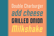 Goodland Condensed Text fonts, a Sans Serif Font by Swell Type (Thumbnail 4 of 6)