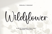 Wildflower | Script Font, a Handwritten Font by Scratchones (Thumbnail 1 of 8)