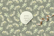QUEEN ANNE'S LACE - Seamless Pattern, a Pattern Graphic by Debby Blooms (Thumbnail 1 of 5)
