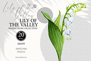 Watercolor flower Lily of the valley, a Decorative Illustration by KarinkaBU (Thumbnail 5 of 5)