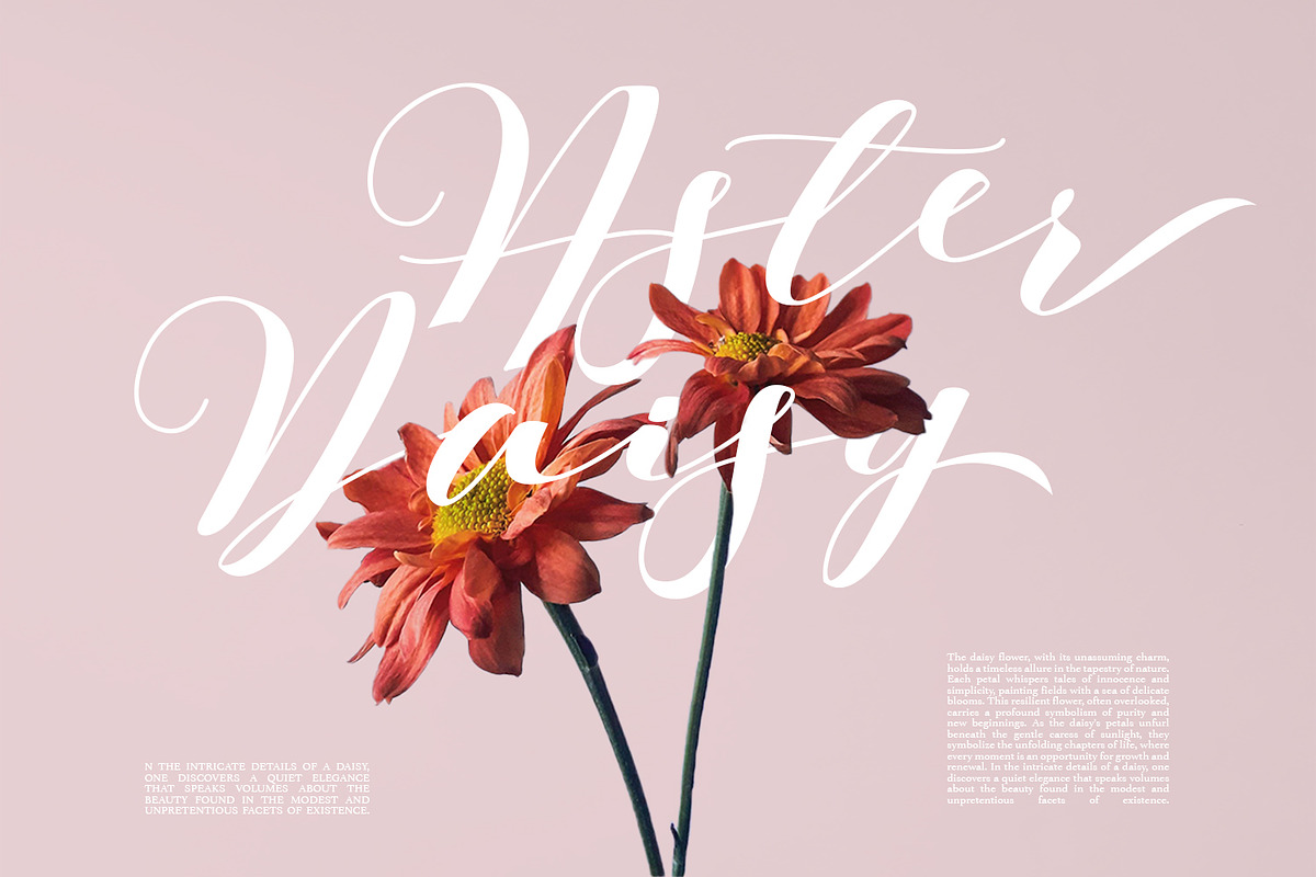 Barbara - A Classy Script Font, a Script Font by Aksapix Studio (Photo 9 of 11)