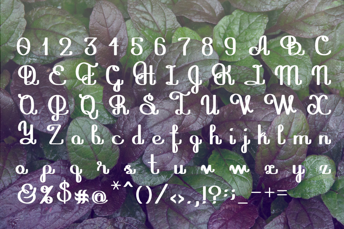 Mushroom font preview 3