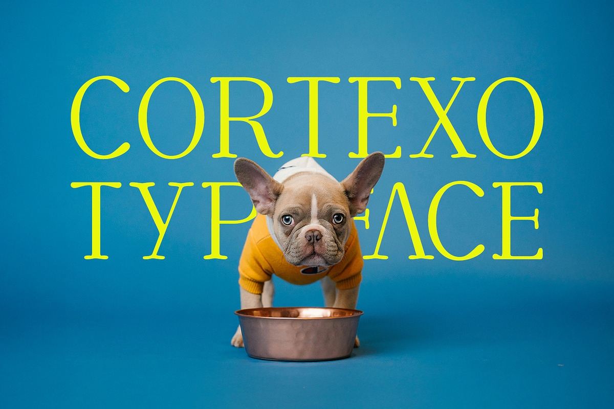 CORTEXO – Modern Serif Typeface, a Serif Font by Foxtype (Photo 7 of 7)