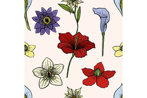 Vector Vintage Seamless Floral Pattern. Herbs And Wild Flowers. Botanical Illustration Engraving Style. Colorful