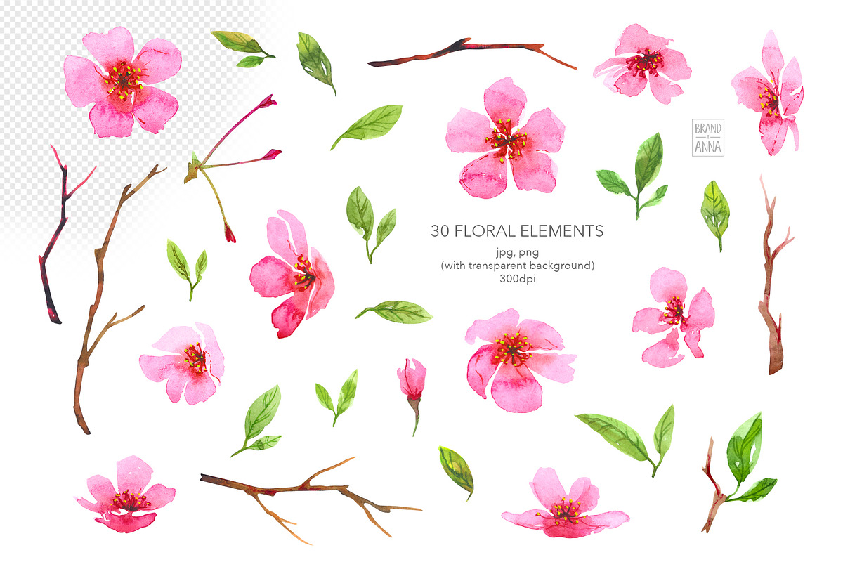 Spring flowers watercolor clipart, an Illustration by Brandianna (Photo 2 of 9)