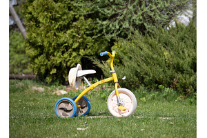 children's bicycle on the grass, a Nature Photo by Nenahliadava Design