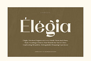 Loreda, a Serif Font by Ardyanatypes (Thumbnail 4 of 12)