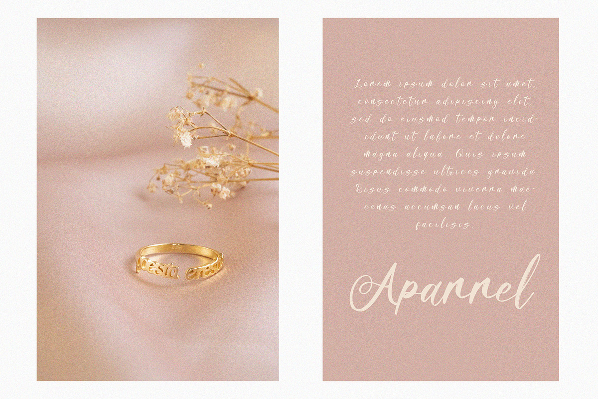 Mellonikha Brush Script Font, a Script Font by NTC Graphic (Photo 3 of 9)