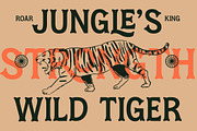Locatro Western Display Serif, a Serif Font by timelesstype.co (Thumbnail 6 of 15)