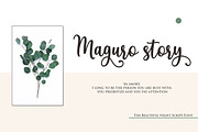 The Beautiful Night Script & Extras, a Script Font by Attract Studio (Thumbnail 4 of 10)