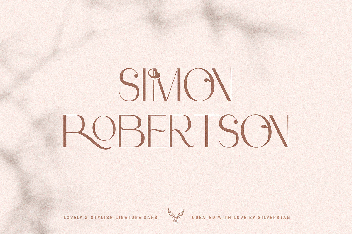 Celine - Chic Ligature Sans & Extras, a Sans Serif Font by SilverStag Type Foundry (Photo 13 of 23)