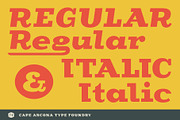 CA Cape Rock - Family, a Slab Serif Font by Cape Arcona Type Foundry (Thumbnail 2 of 8)