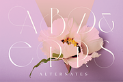 Veilan Serif Delicate font, a Serif Font by Andfonts (Thumbnail 12 of 13)