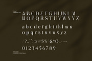 New Mick Serif Font, a Serif Font by Perfectype (Thumbnail 8 of 8)