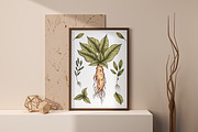 Herbal Magic clipart set, an Illustration by Mrs.Swan_Design (Thumbnail 6 of 7)