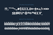 Night Bender - Stylish Serif Font, a Font by Gumrega Studio (Thumbnail 7 of 8)