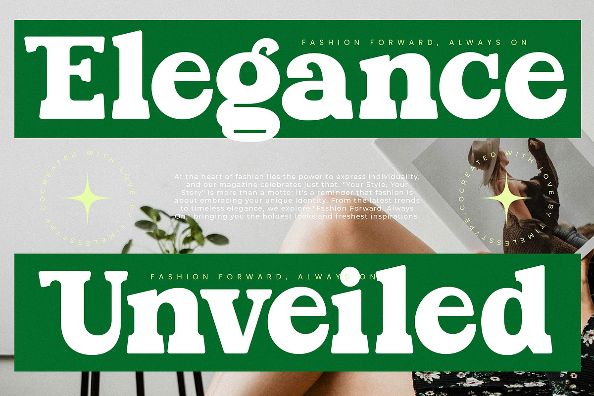 Parfect Silent Modern Bold Serif, a Serif Font by timelesstype.co (Photo 15 of 20)