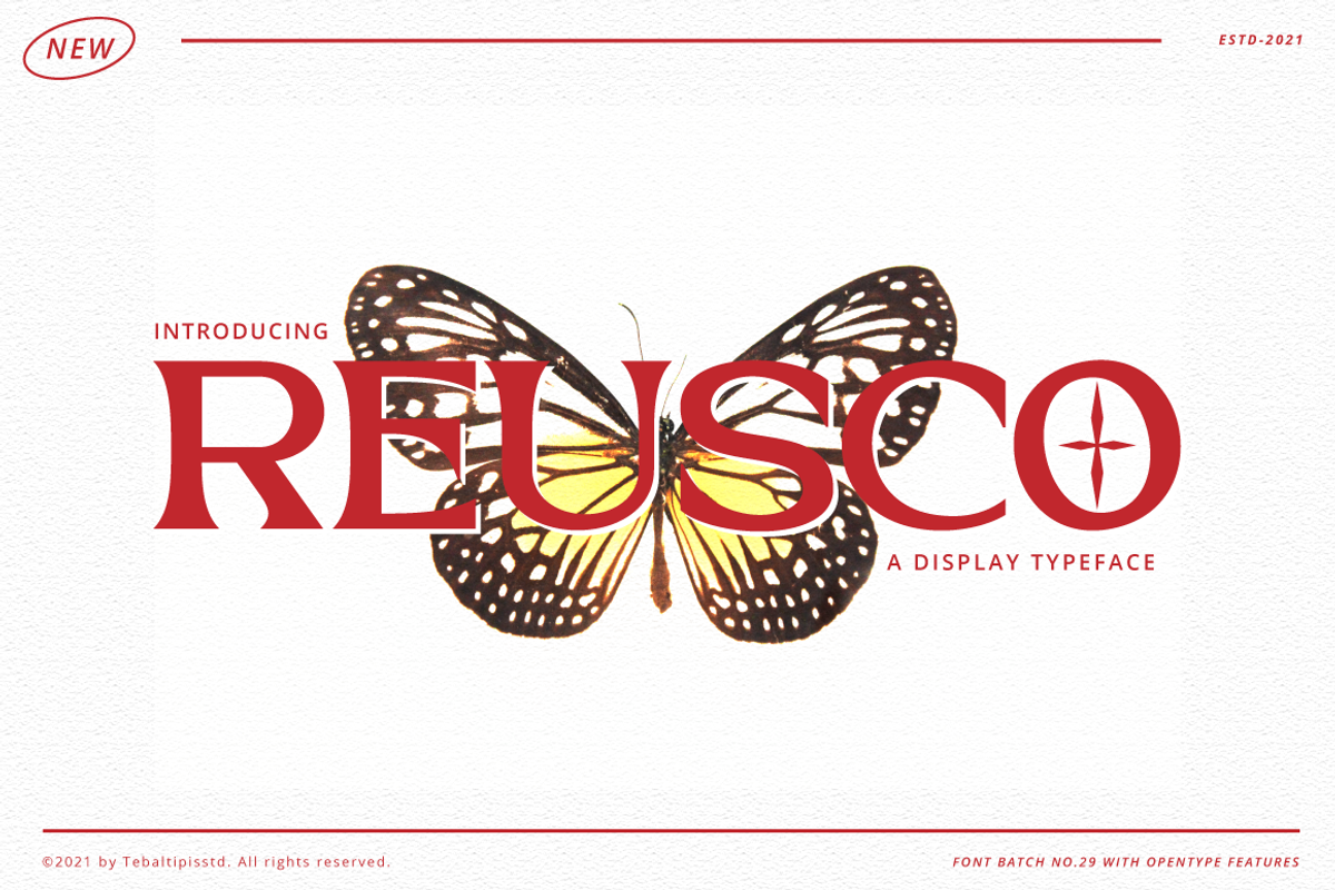 Reusco - Display Typeface, a Serif Font by tebaltipislab (Photo 1 of 15)