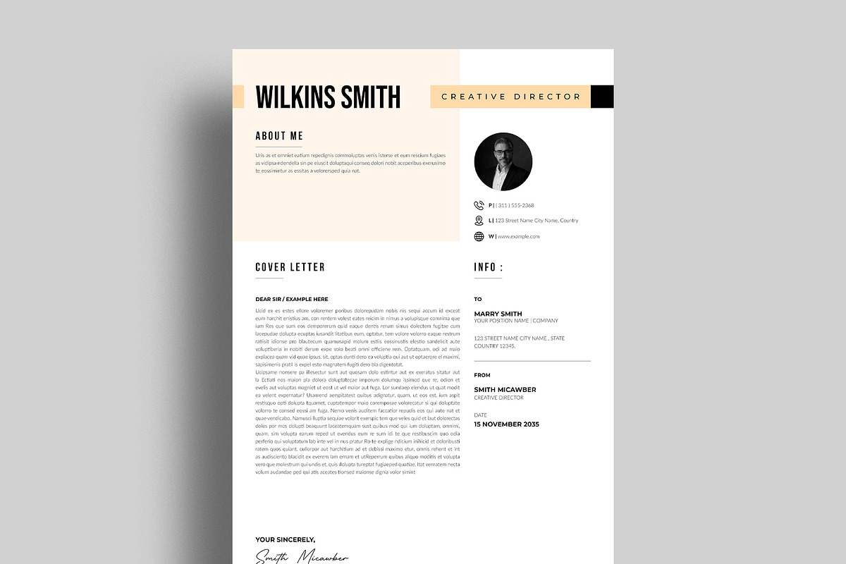 Professional Resume Template, a Resume Template by NorthPeak (Photo 4 of 5)