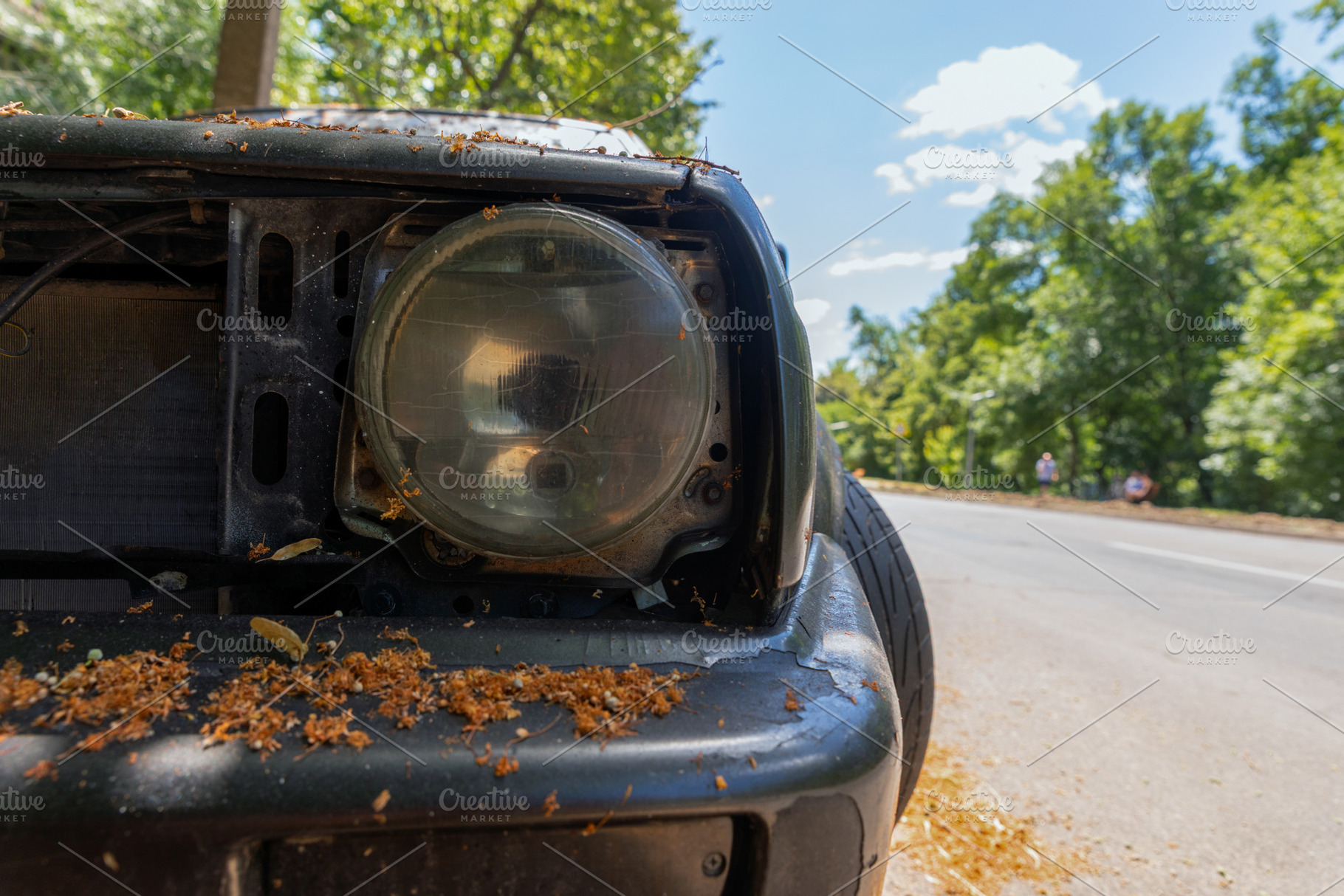 Close-up of a broken headlight on an old car covered in dry blos, a Transportation Photo by Ales Munt
