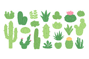 Cartoon succulents. Cactus and, an Object Illustration by LadadikArt