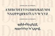 Damona, a Sans Serif Font by Flawless And Co (Thumbnail 9 of 12)