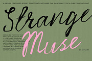 Strange Muse Messy Script Font, a Script Font by AnMark (Thumbnail 1 of 13)