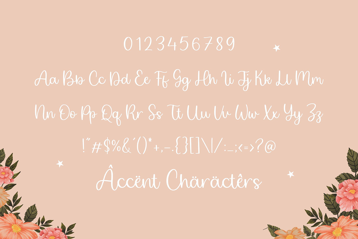 Twirly Ballerina Handwritten Font, a Script Font by Balpirick Studio (Photo 6 of 7)
