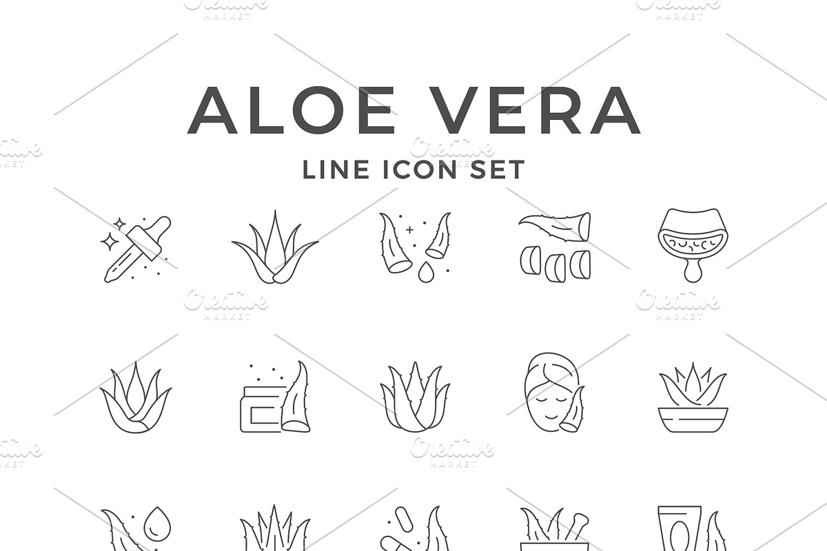 Set line icons of aloe vera, an Outline Icon by motorama (Photo 1 of 2)