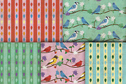 Songbird Patterns - Spring Flowers, a Pattern Graphic by VizualStorm (Thumbnail 3 of 3)
