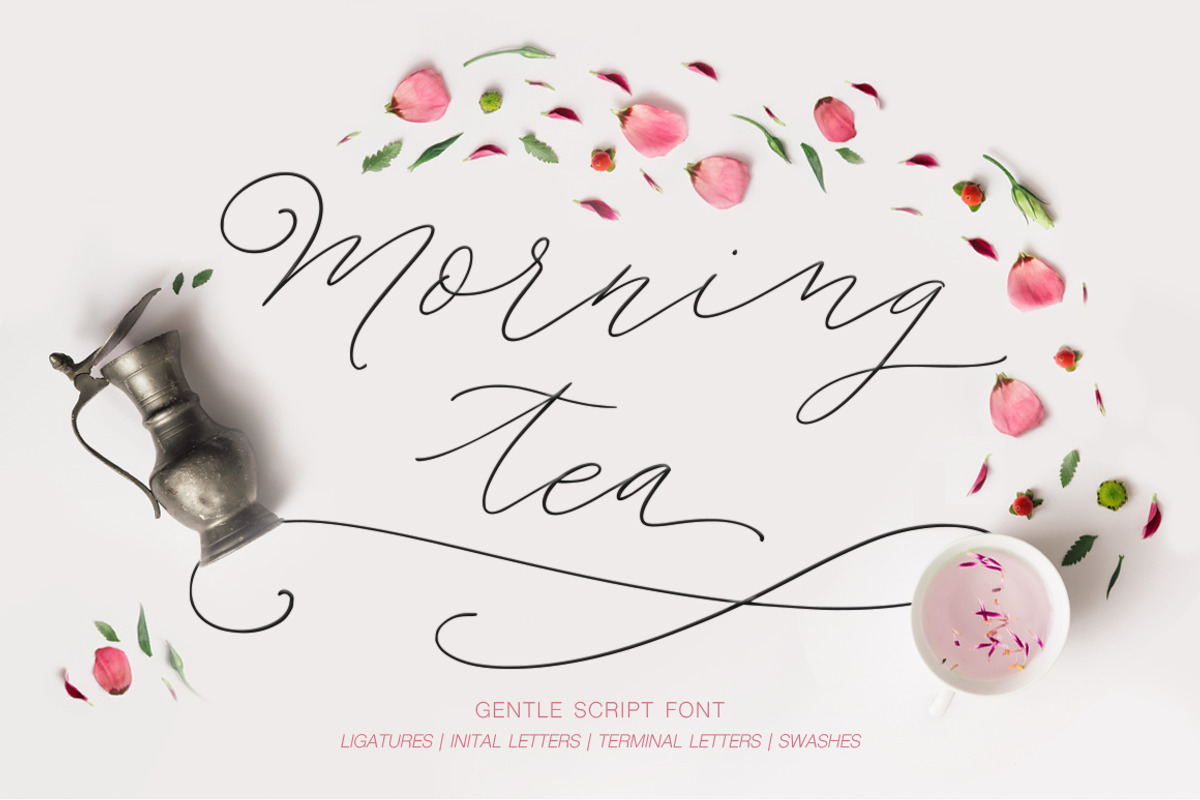 Morning tea. Script font.