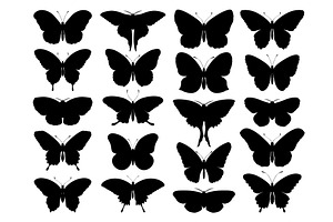 Black Butterfly Silhouettes. Outline