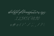 Grace - A Modern Calligraphy Font, a Script Font by BohoCalligraphy (Thumbnail 3 of 11)