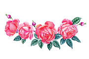Roses, an Illustration by Watercolor life (Thumbnail 4 of 6)