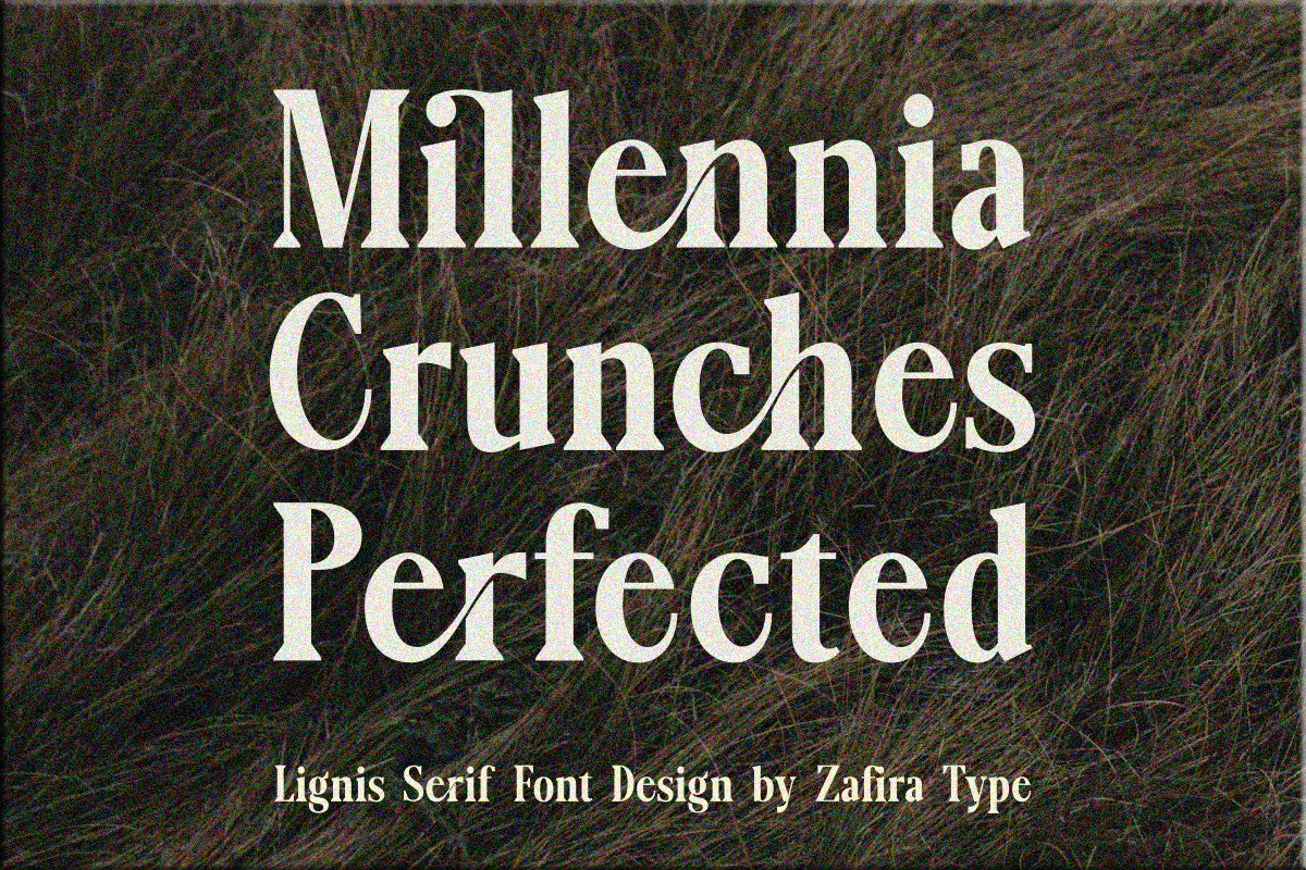 Lignis, a Serif Font by Zafiratype (Photo 12 of 15)