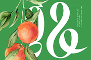 Bastfeng Skylight Modern Serif, a Serif Font by timelesstype.co (Thumbnail 7 of 20)