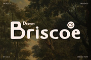 CS Briscoe Drawn, a Sans Serif Font by Craft Supply Co. (Thumbnail 1 of 8)
