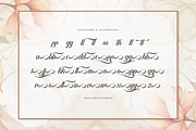 Artho Willians | Beauty Calligraphy, a Font by Denustudios (Thumbnail 12 of 12)