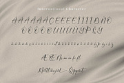 Cicaero, a Script Font by Integritype Studio (Thumbnail 10 of 15)
