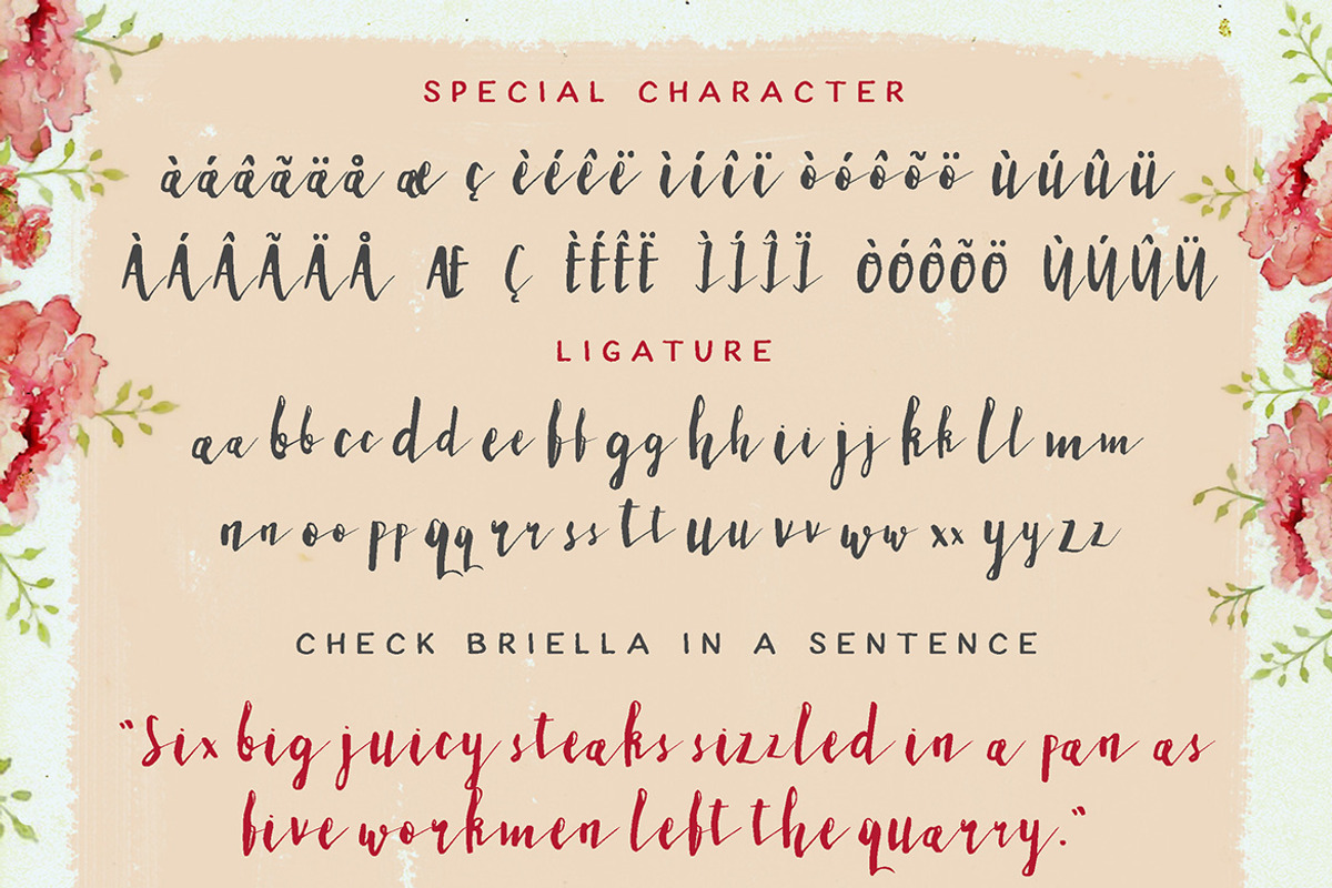 Briella Script preview 6