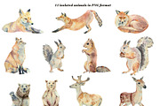 Watercolor forest animals, an Animal Illustration by Watercolor arts (Thumbnail 2 of 6)