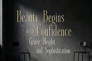 VESSAIRE - Elegant Tall Serif, a Serif Font by HypeWorksCo (Thumbnail 17 of 18)