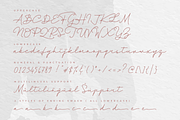 Dienilla, a Handwritten Font by Abo Daniel Studio (Thumbnail 13 of 15)