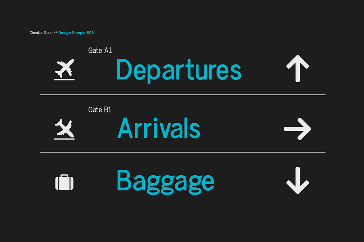 Chester Sans - Type Family, a Sans Serif Font by BorisG (Photo 11 of 13)