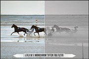 Leica Monochrom Profiles, a Plug-in Add-On by Raztrend (Thumbnail 30 of 31)