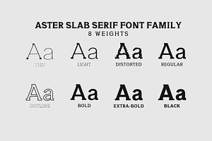 Aster Slab Serif 9 Font Family Pack