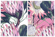 Exotic Protea Prints & Motifs, a Pattern Graphic by Pink Linen (Thumbnail 6 of 10)