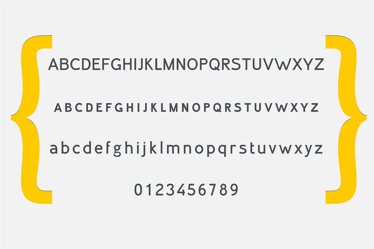 Inprimis Bold preview 3
